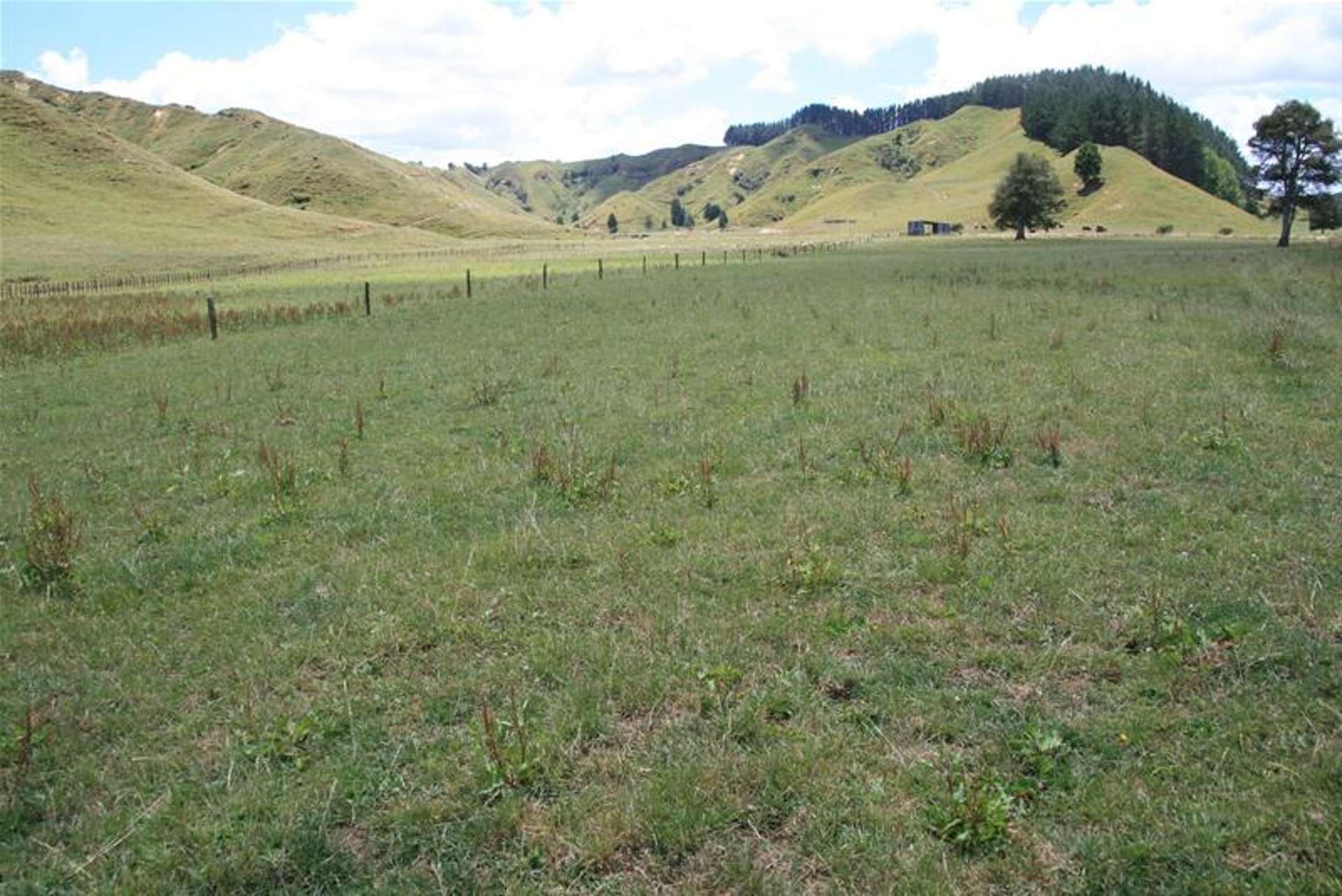 Walter Road Douglas_0