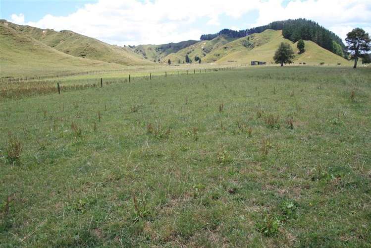 Walter Road Douglas_0