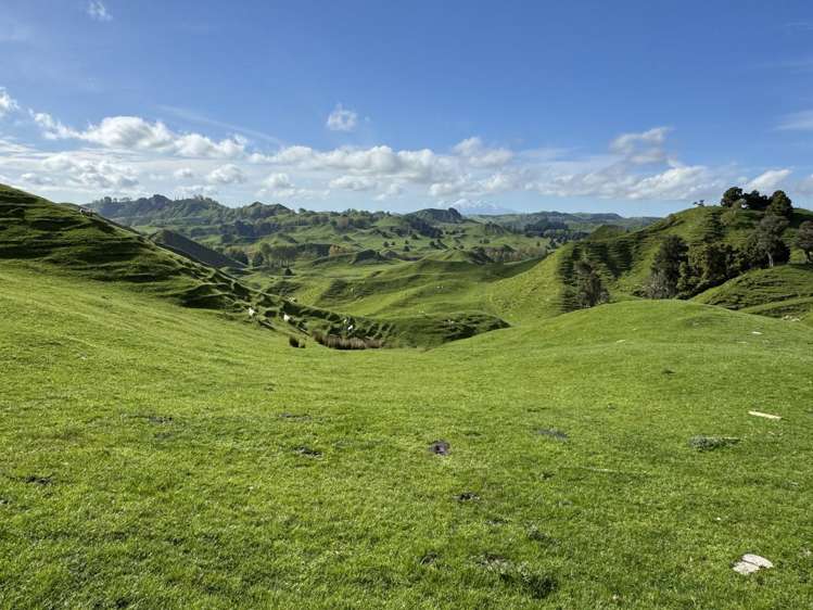 268a Tiriraukawa Road Taihape_16