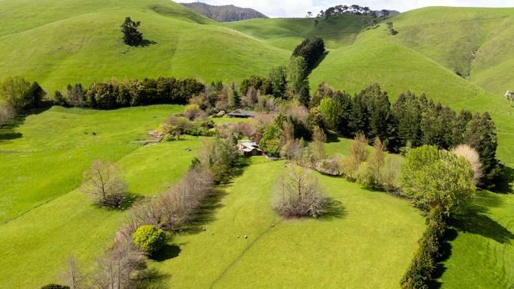 101 Te Weta Road Waikite Valley_26