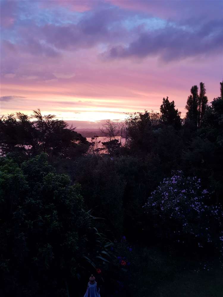 17 Chatham Avenue Paremoremo_32