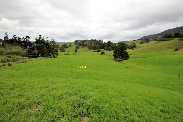 Lot 3 & 4 Te Rore Road Kaitaia_10