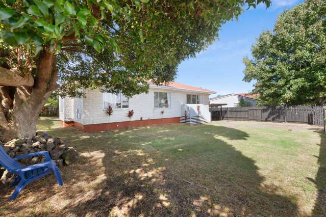 34 Finlayson Avenue Clendon Park_4