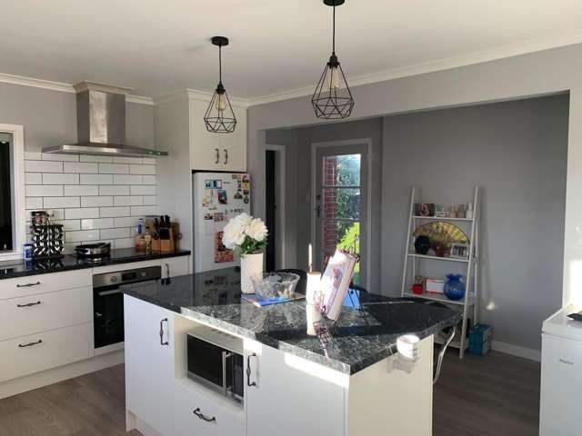 71 George Street Tinwald_2