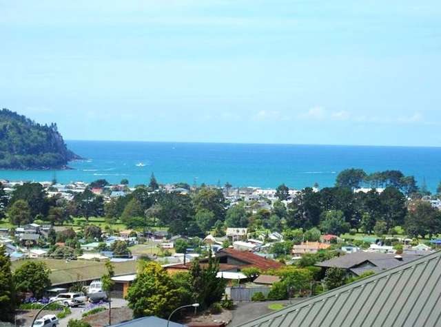 115 Pacific View Drive Whangamata_1