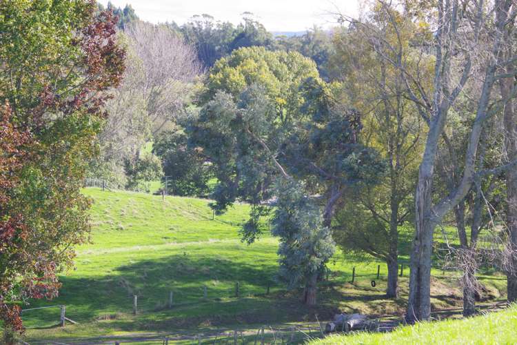 855 Kaahu Road Mangakino_6