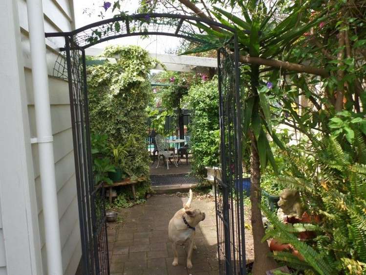 128 Wilson Street Thames_9