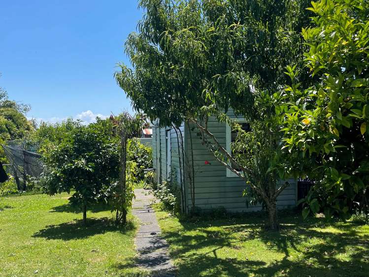 65 Daphne Street Outer Kaiti_7