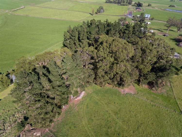 172 Woodlands Road Carterton_33