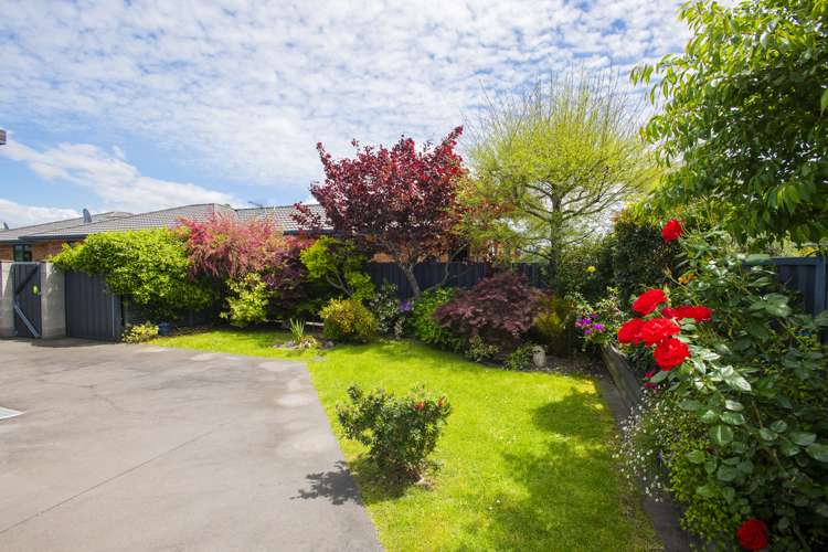 107b Ormond Road Whataupoko_16