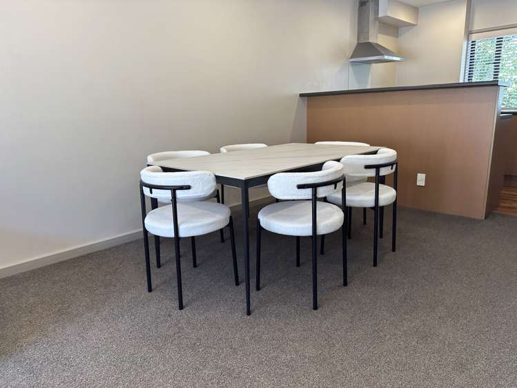 3 Dovedale Place Parnell_8