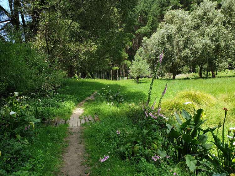 217 Taumatatahi Road Ruapehu-King Country Surrounds_21