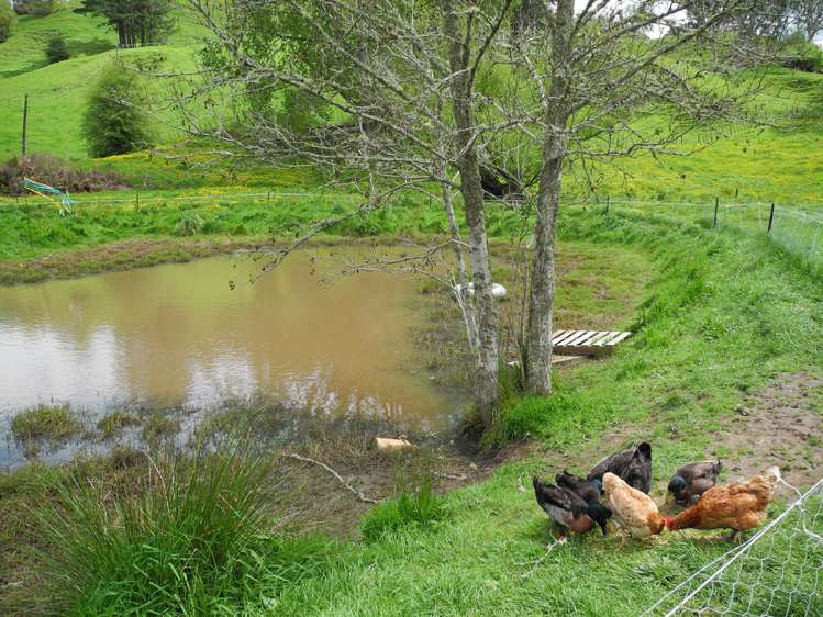 144 Honikiwi Road Otorohanga_8