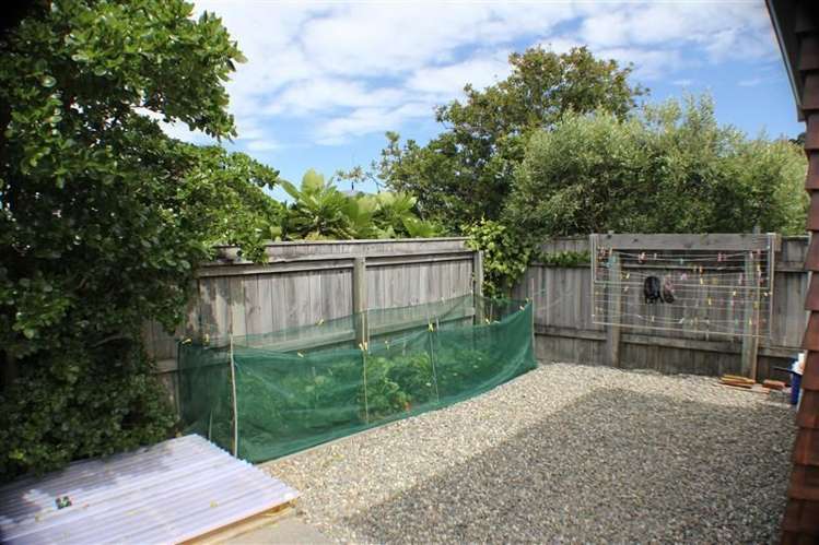 17 Ferry Street Seatoun_14