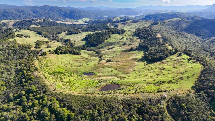 133 Te Ranga Road Kaeo_43