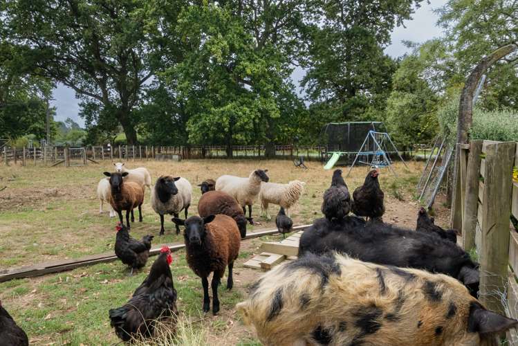 42 Flux Road Mangaroa_19