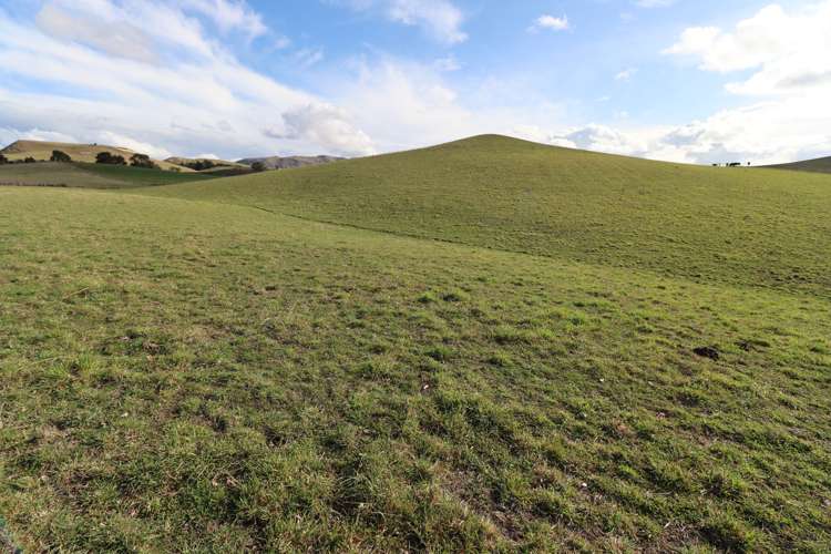 250 Ritchies Road Waihao Downs_21