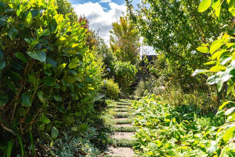 64B Jack Boyd Drive Mangawhai Heads_24