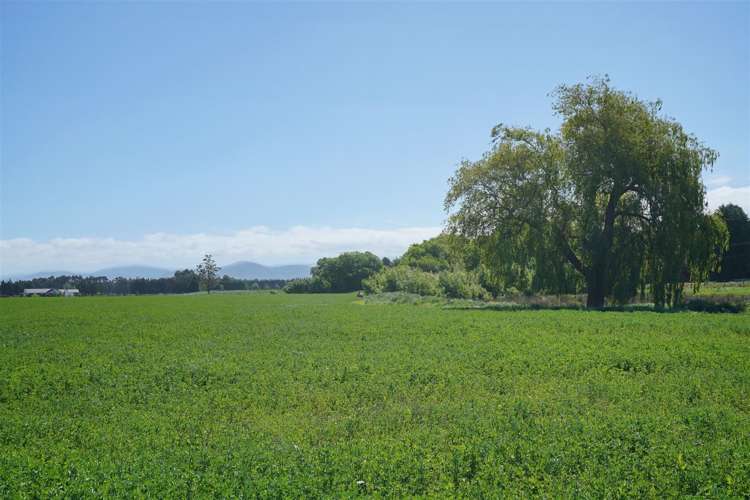 421 Birch Hill Road Okuku Waimakariri Houses for Sale One Roof