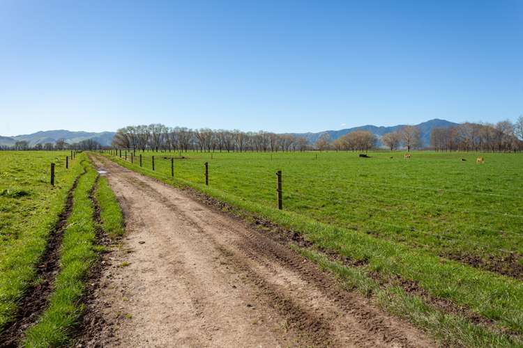 382 Tautiti Road Te Aroha_14