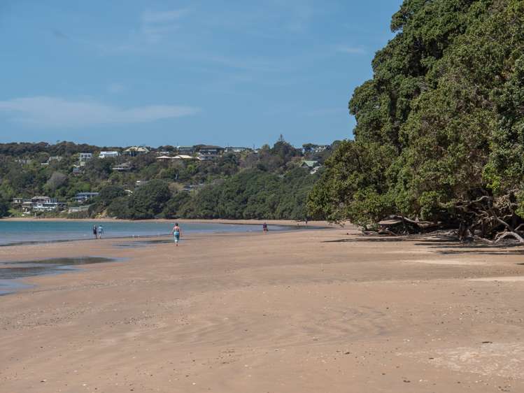 36 Bayside Drive Coopers Beach_18