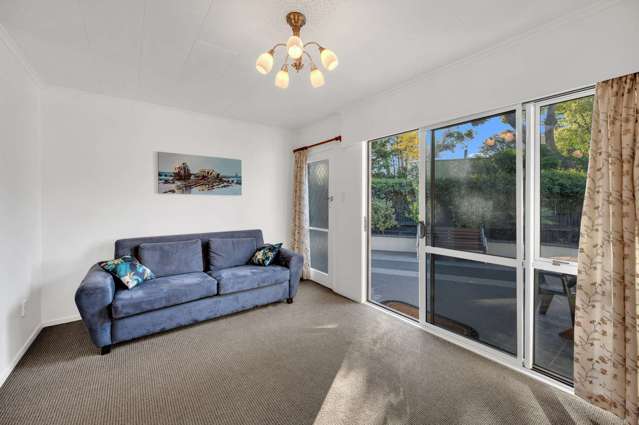 5/89 McDonald Street Napier South_4