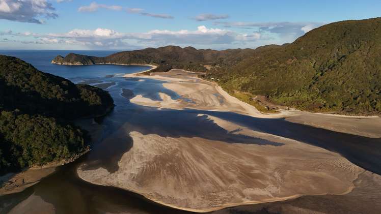 49 Awaroa Inlet Awaroa_22