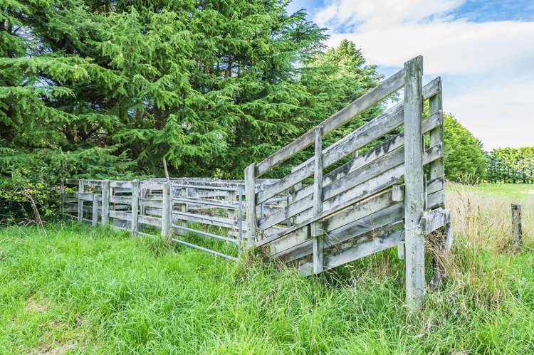 2131 Old West Coast Road Kirwee_24