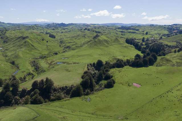 Strong Taihape Hill Country With Purchase Options