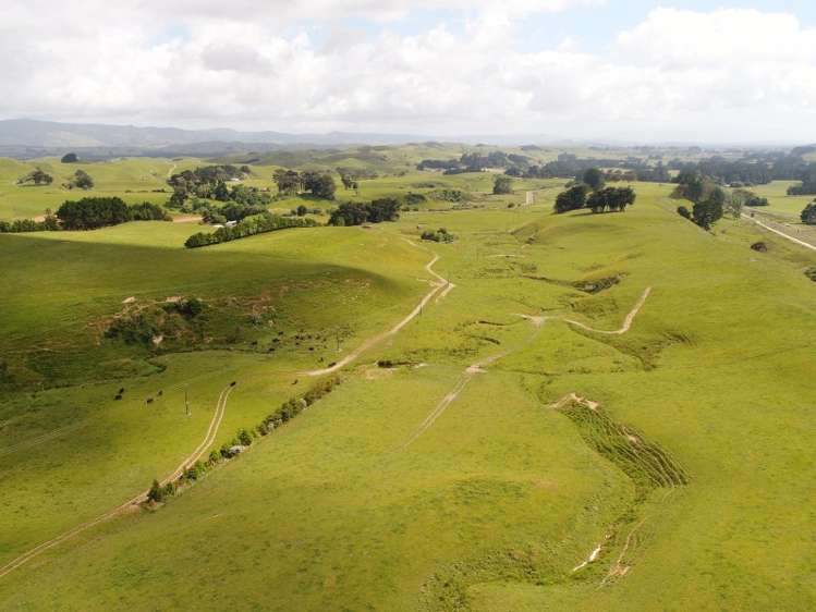 127 North Road Eketahuna_6