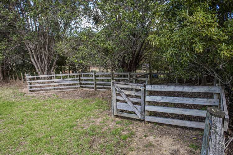 56 Te Rongo Road Parua Bay_11