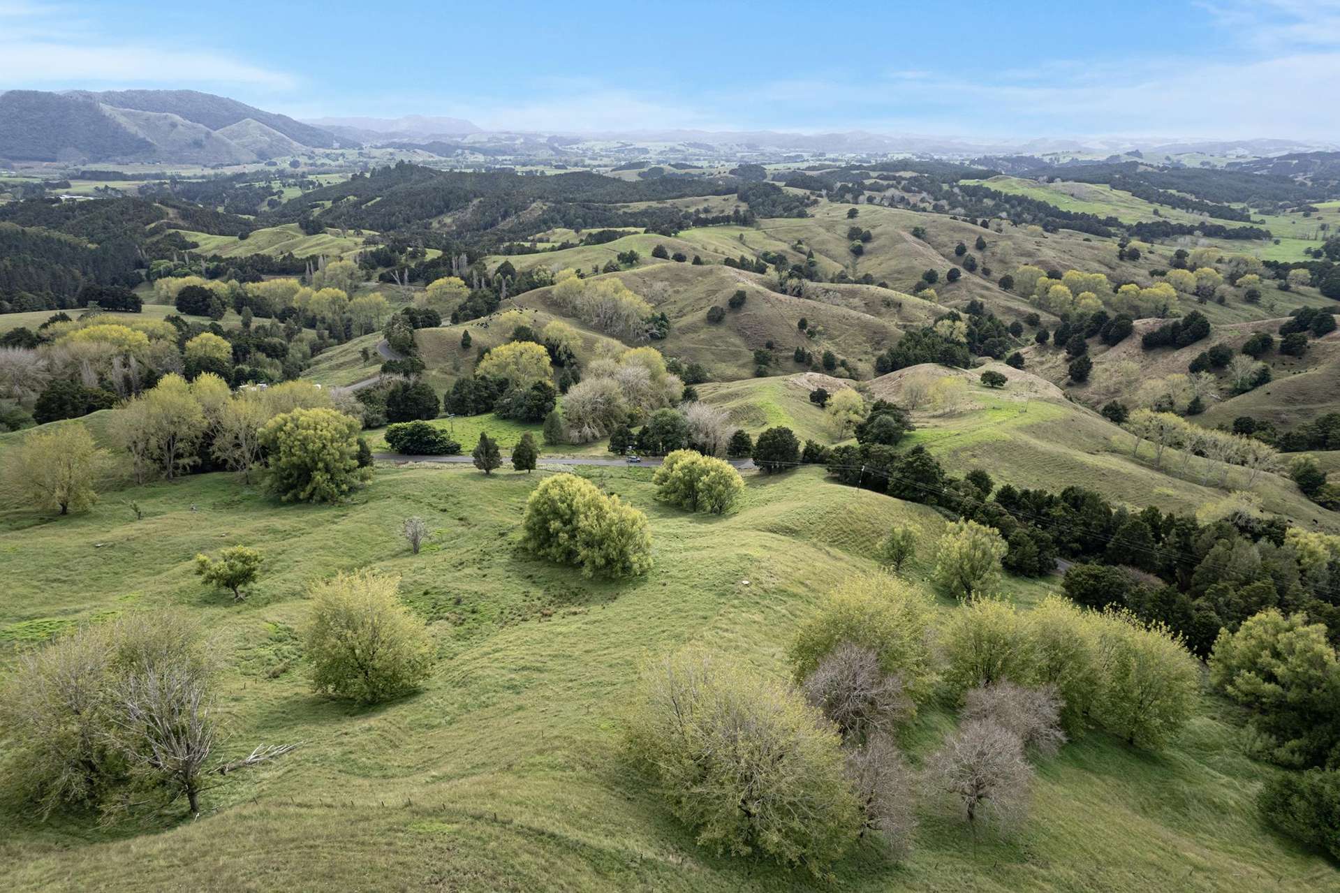 Kirikopuni Road Parakao_0