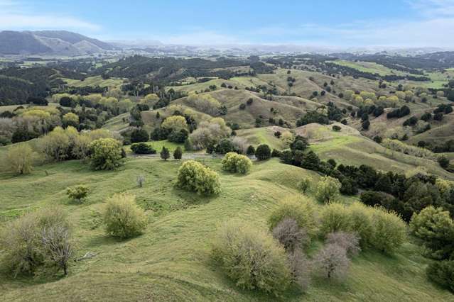 Your Rules, Your Land, Your Future