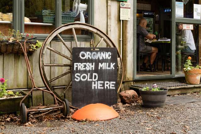 4 Wainui Road Matatoki_4