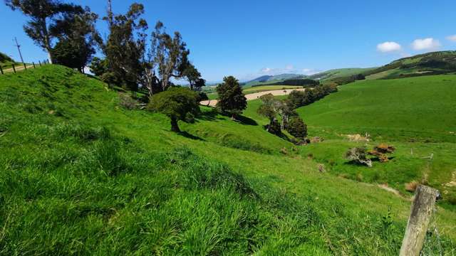 183 Gunn Road Waitepeka_3