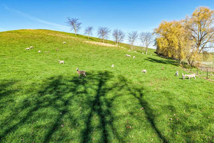 Lot 2/84 Tod Road Otane_14