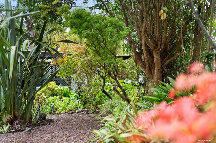 1/33 Cyclarama Crescent Massey_17