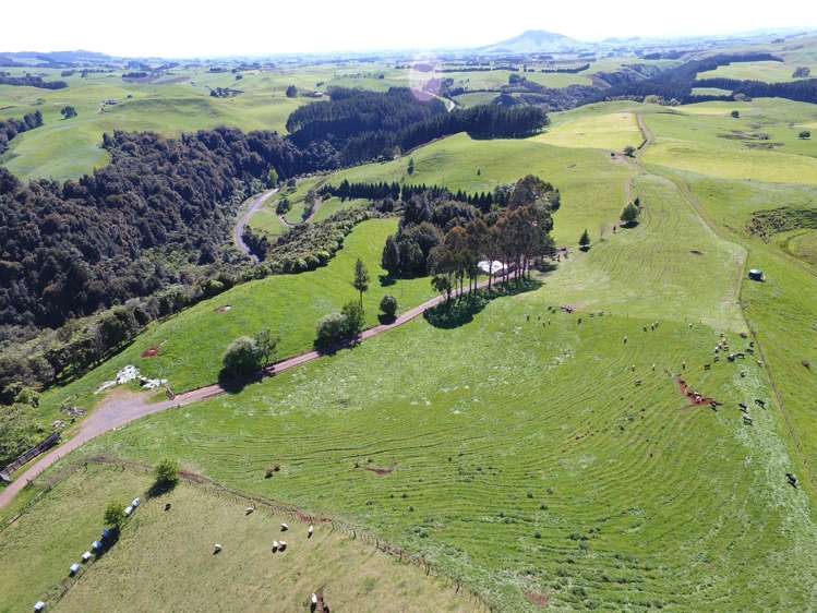 2229 State Highway 31, Kawhia Road Otorohanga_7