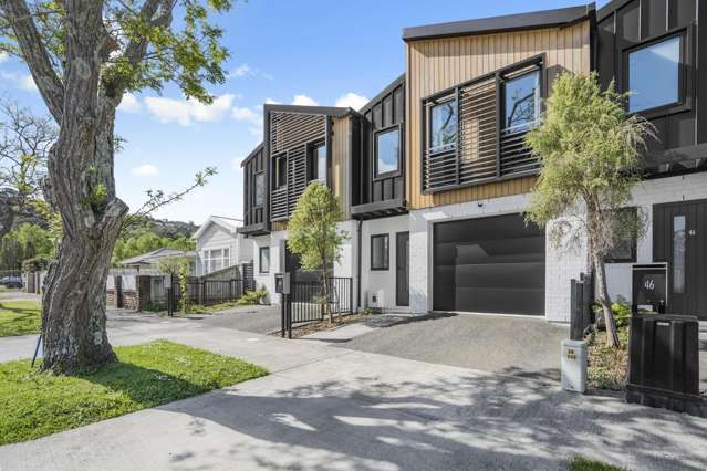48 Mills Street Boulcott_1