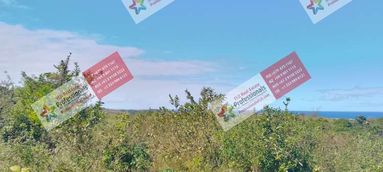 Address withheld Sigatoka_24