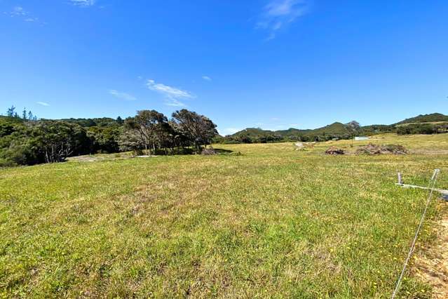 Lot 3/161 Wharariki Road Puponga_2