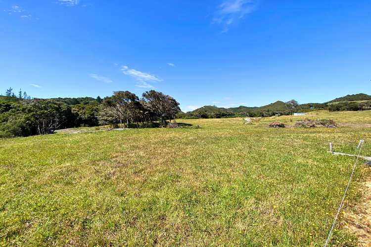 Lot 3/161 Wharariki Road_2