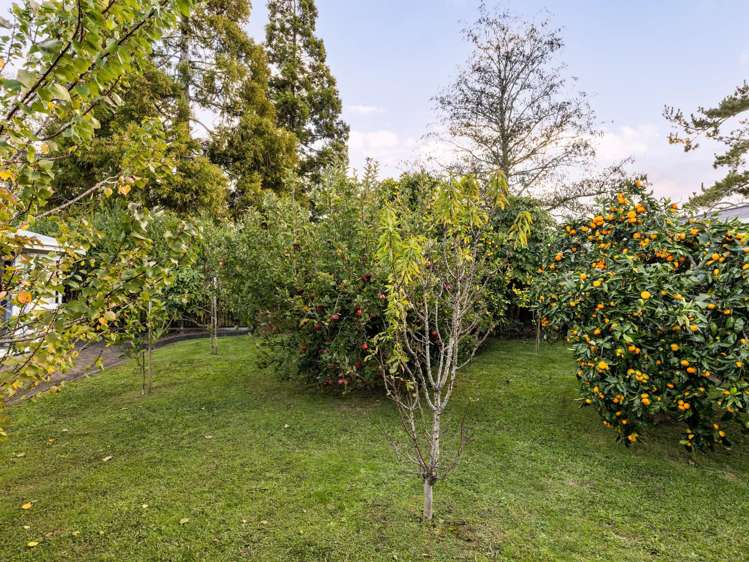 23 Regent Street Silverdale_15