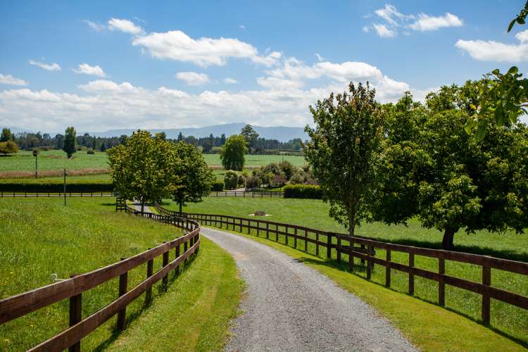 12 Crabb Road Hauraki Surrounds_17