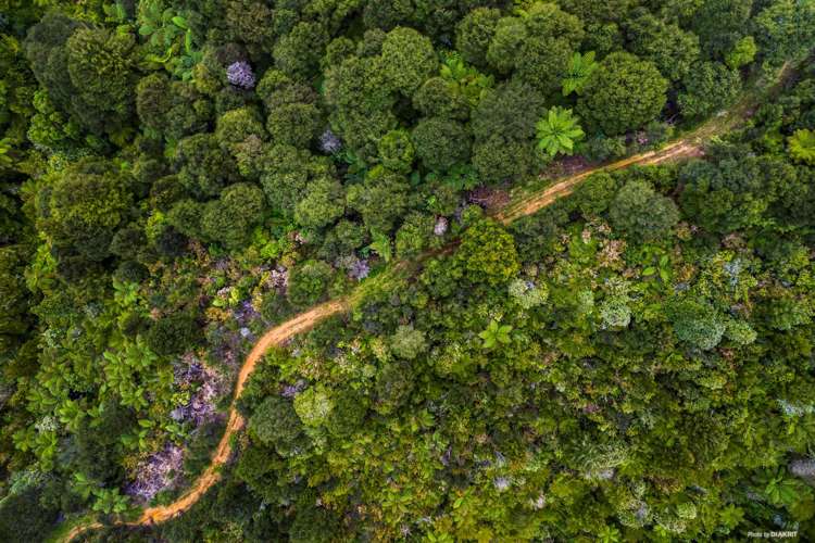 837 Paparimu Road Mangatawhiri_2