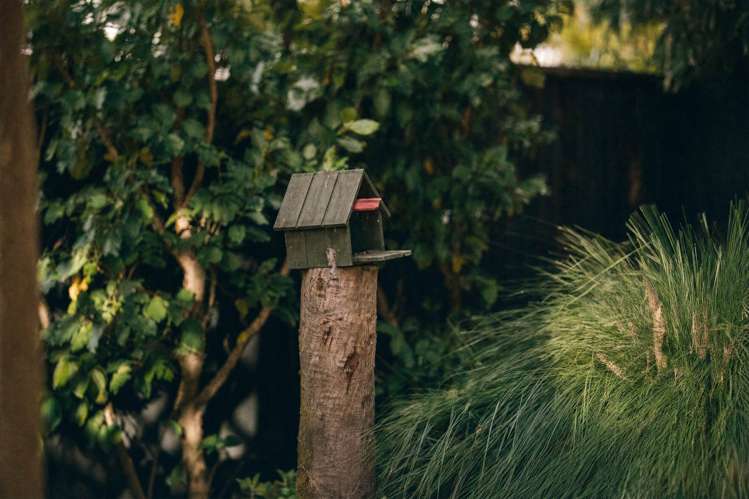 34A Lyttelton Avenue Forrest Hill_13