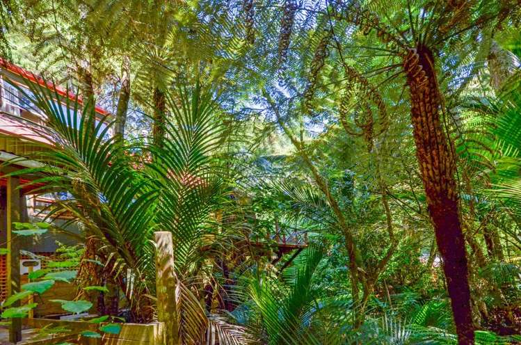 138 Konini Road Titirangi_22