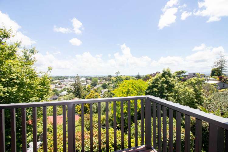 49 Wood Street Paeroa_16