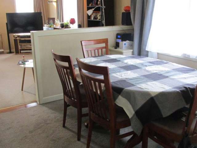 12 Kiwi Street Matamata_4