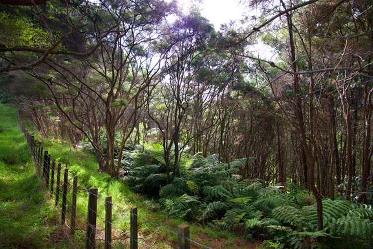 156 Tahekeroa Road Tahekeroa_17